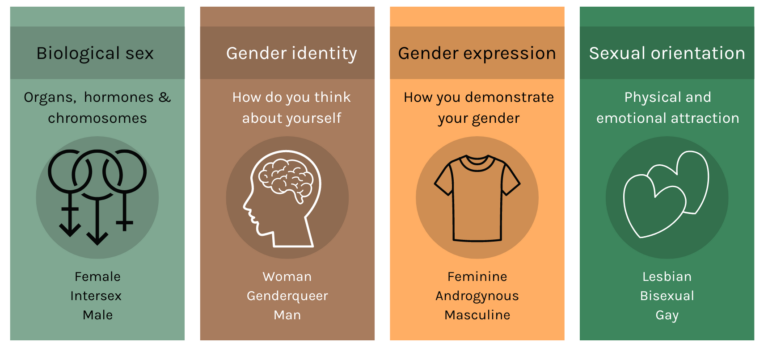 Gender-identity-e1689679250394-768x347
